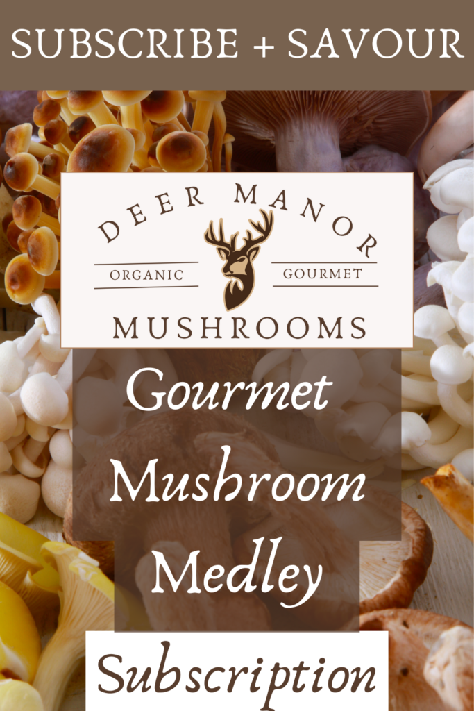 Organic Gourmet Medley Subscription