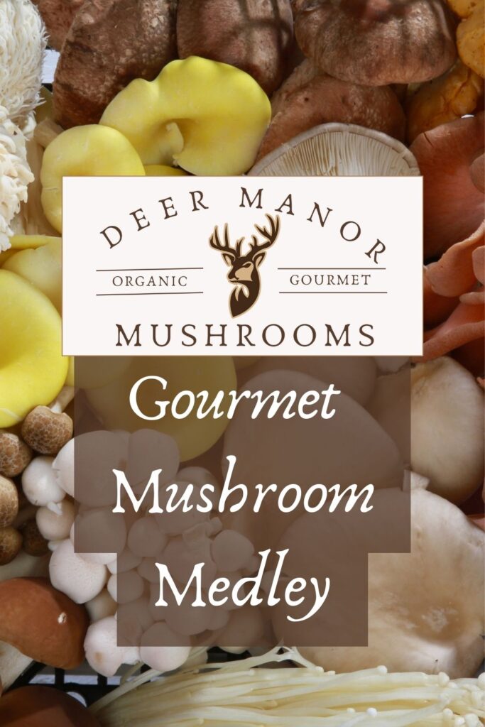 Organic Gourmet Mushroom Medley