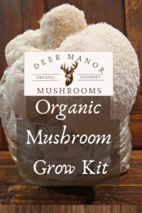 Organic Gourmet Mushroom Grow Kit