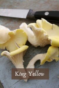 Organic Gourmet Mushroom Gift Card