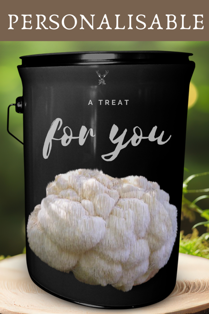 A Treat For You: Lion's Mane Grow Kit Gift