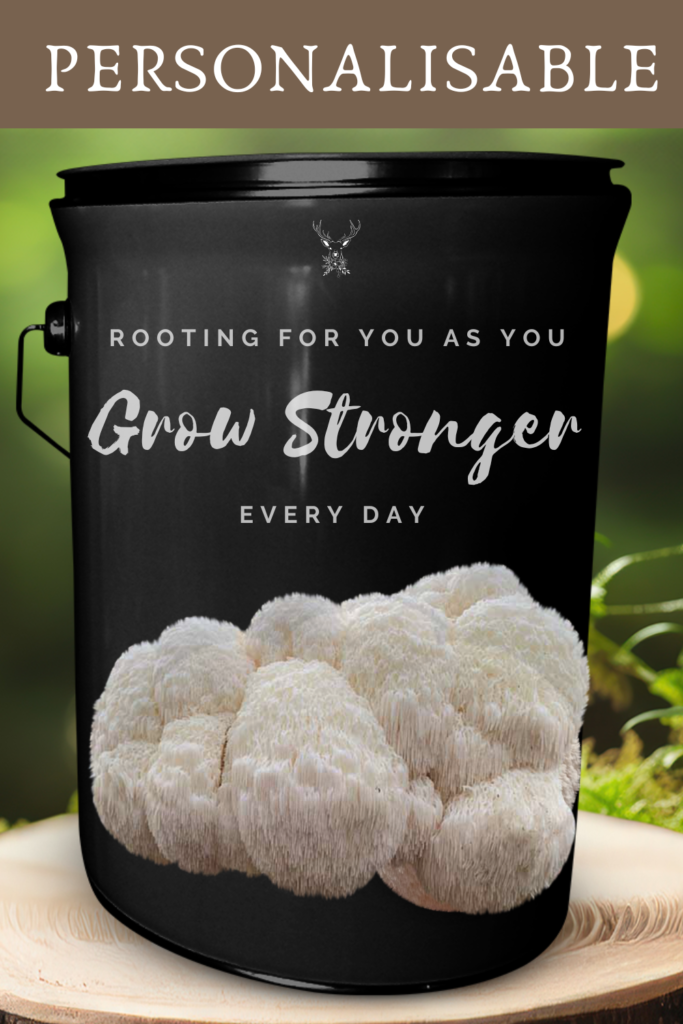  Rooting for You Organic Lion's Mane Grow Kit: Ideal Gift for Cancer, Diabetes, Chronic Illness, and Surgery Recovery