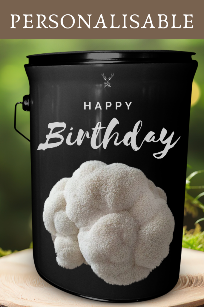 Bespoke Happy Birthday Lion's Mane Mushroom Grow Kit Gift