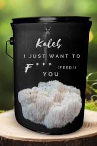 Cheeky Date Night Gift for Him and for Her Lion's Mane Grow Kit