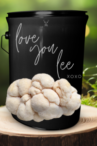Romantic Lion's Mane Grow Kit Gift - Love You Gift for Him and Her