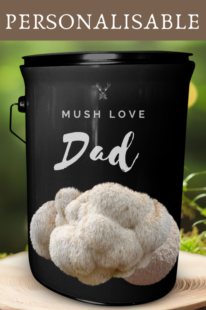 Bespoke Lion's Mane Grow Kit: Unique Father's Day & Birthday Gift for Dad