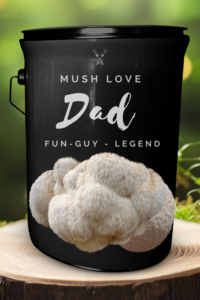 Bespoke Lion's Mane Grow Kit: Unique Father's Day & Birthday Gift for Dad