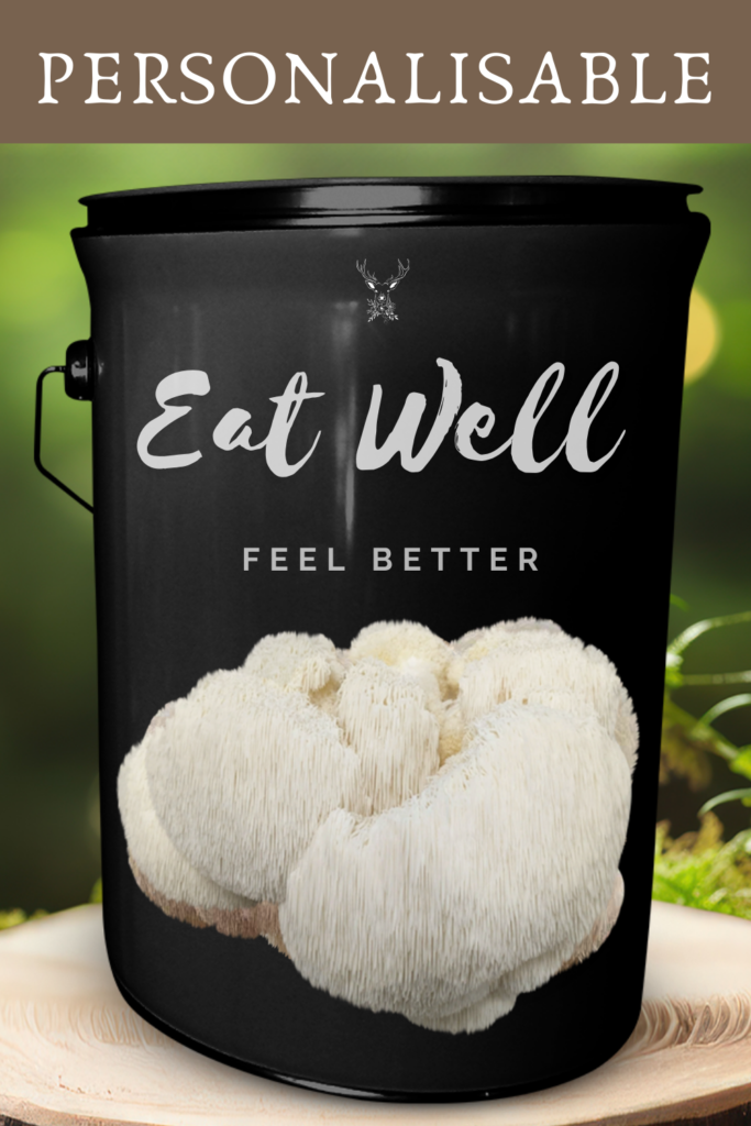 Bespoke Lion's Mane Grow Kit Get Well Gift / Eat Well, Feel Better