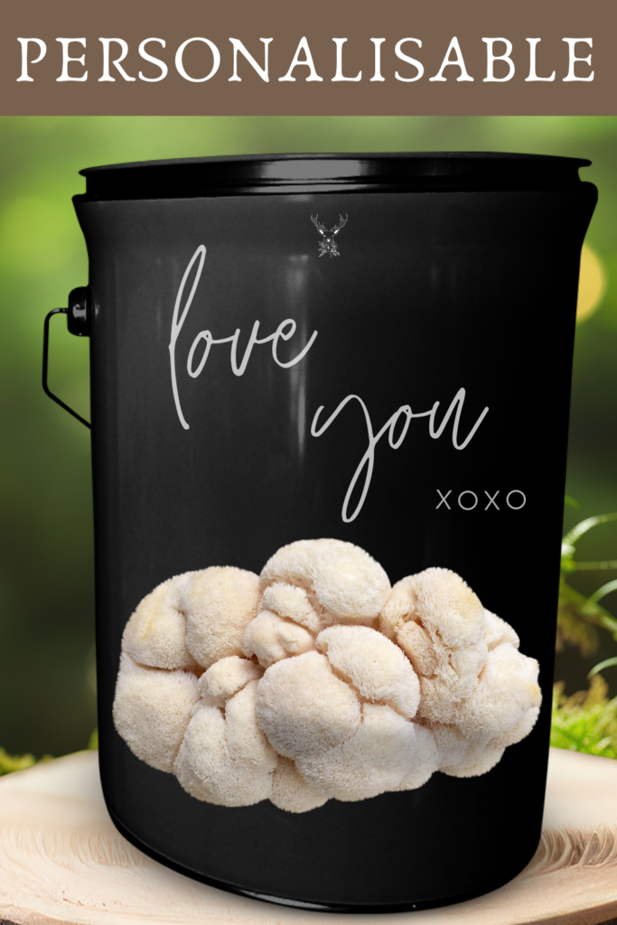 Romantic Lion's Mane Grow Kit Gift - Love You Gift for Him and Her