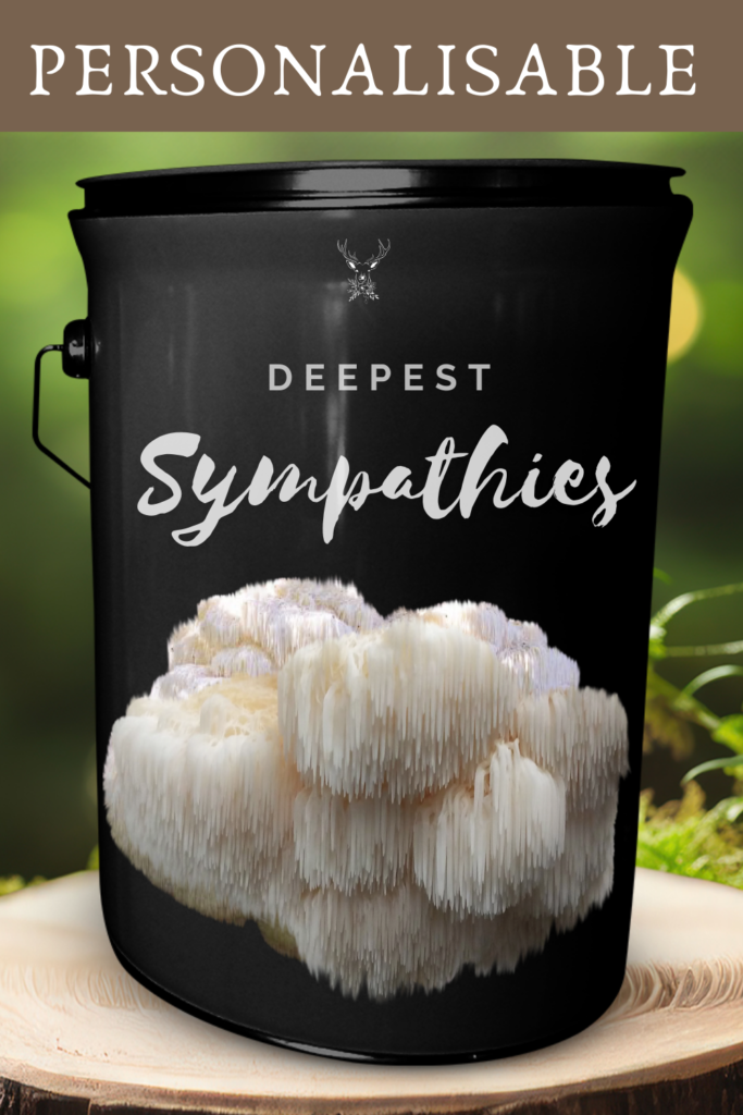 Deepest Sympathies Lion's Mane Grow Kit Gift: Condolences and Thoughtful Support in Times of Grief