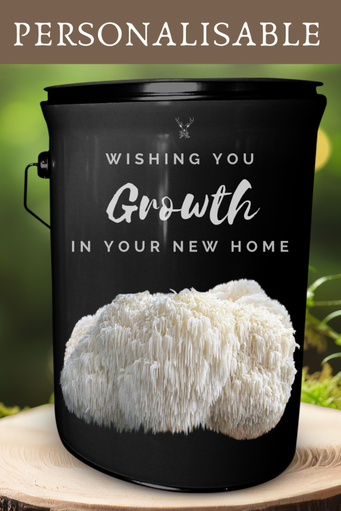 New Home Housewarming Lion's Mane Grow Kit Gift:Wishing You Growth in Your New Home