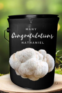 Congratulations Organic Lion's Mane Mushroom Grow Kit Gift