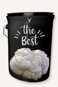 "The Best" Lion's Mane Mushroom Grow Kit - Premium Organic Culinary Experience