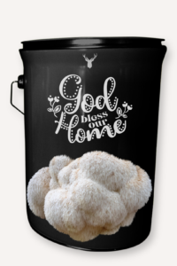 "God Bless Our Home" Lion's Mane Mushroom Grow Kit - A Thoughtful House Blessing Gift