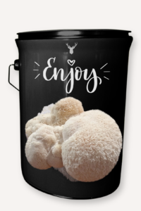 "Enjoy" Lion's Mane Mushroom Grow Kit - A Delightful Gift for Any Occasion