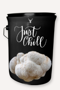 "Just Chill" Lion's Mane Mushroom Grow Kit - A Relaxing Gift for Peaceful Moments