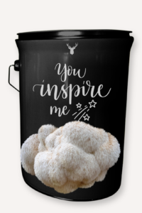 "You Inspire Me" Lion's Mane Mushroom Grow Kit - A Gift for Your Greatest Influences