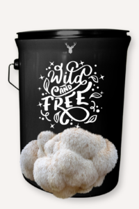 "Wild and Free" Lion's Mane Mushroom Grow Kit - A Gift for the Free-Spirited Soul