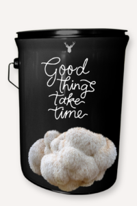 "Good Things Take Time" Lion's Mane Mushroom Grow Kit - A Gift for Patience and Growth