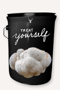  "Treat Yourself" Lion's Mane Mushroom Grow Kit - A Luxurious Gift for Self-Care