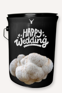 "Happy Wedding" Lion's Mane Mushroom Grow Kit - A Unique Gift for Newlyweds