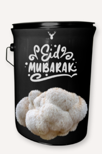  "Eid Mubarak" Lion's Mane Mushroom Grow Kit - Celebrate Eid with Organic Delight