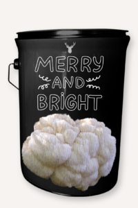 "Merry and Bright" Lion's Mane Mushroom Grow Kit - Illuminate Your Christmas with Organic Elegance