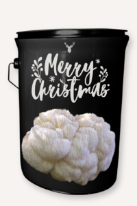 "Merry Christmas" Lion's Mane Mushroom Grow Kit - Spread Christmas Cheer with Luxurious Organic Mushrooms