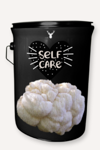 "Self Care" Lion's Mane Mushroom Grow Kit - Organic Wellness at Home