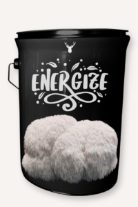 Energize Lion's Mane Mushroom Grow Kit - Boost Vitality with Organic Gourmet Mushrooms