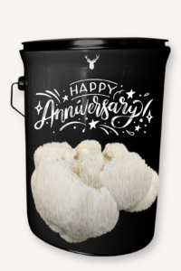 Happy Anniversary Lion's Mane Mushroom Grow Kit - Cultivate Love and Gourmet Flavours - Perfect Couple's Gift