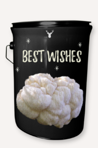 "Best Wishes" Organic Lion's Mane Mushroom Grow Kit - A Gift of Gourmet Goodness