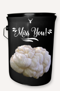 "Miss You" Lion's Mane Mushroom Grow Kit - Cultivate Organic Connections