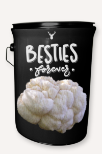 "Besties Forever" Lion's Mane Mushroom Grow Kit - Celebrate Friendship with Organic Elegance