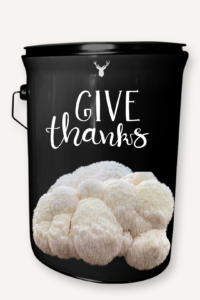 "Give Thanks" Lion's Mane Mushroom Grow Kit - A Gourmet Way to Celebrate Thanksgiving