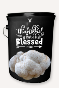 "Thankful, Grateful, Blessed" Lion's Mane Mushroom Grow Kit - Celebrate Thanksgiving with Organic Gourmet Luxury