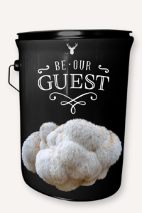 "Be Our Guest" Lion's Mane Mushroom Grow Kit - A Unique Invitation for Weddings, Christenings, and Special Events