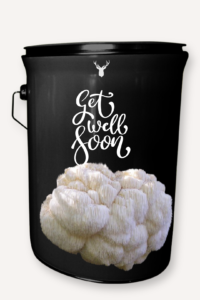 "Get Well Soon" Lion's Mane Mushroom Grow Kit - Wishing a Speedy Recovery with Organic Wellness