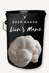 Deer Manor Lion's Mane Mushroom Grow Kit - Original Organic Gourmet Experience