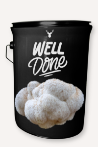 "Well Done" Lion's Mane Mushroom Grow Kit - Celebrate Achievements with Organic Gourmet Mushrooms