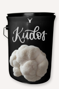 "Kudos" Lion's Mane Mushroom Grow Kit - Applaud Success with Organic Excellence