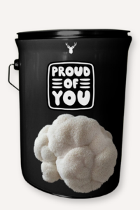  "Proud of You" Lion's Mane Mushroom Grow Kit - Celebrate Accomplishments with Organic Excellence