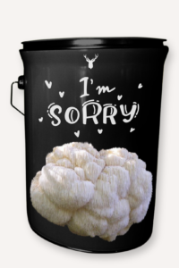 "I'm Sorry" Lion's Mane Mushroom Grow Kit - Apologise with Organic Gourmet Mushrooms