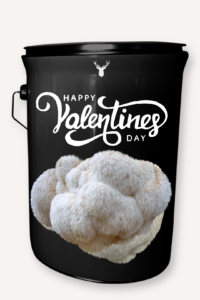 "Happy Valentine's Day" Lion's Mane Mushroom Grow Kit - Cultivate Love with Organic Romance