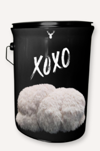 "XOXO" Lion's Mane Mushroom Grow Kit - Cultivate Hugs and Kisses with Organic Charm