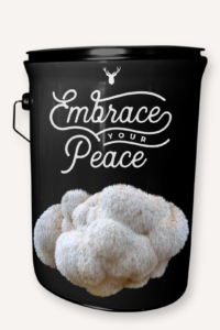  "Embrace Your Peace" Lion's Mane Mushroom Grow Kit - Cultivate Tranquility with Organic Luxury