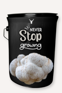 "Never Stop Growing" Lion's Mane Mushroom Grow Kit - Inspire Growth and Self Development with Organic Excellence