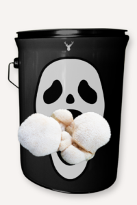 Ghouls' Grub Lion's Mane Mushroom Grow Kit - Halloween Fun with Deer Manor Mushrooms