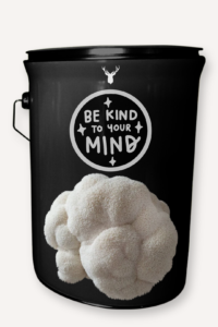 "Be Kind to Your Mind" Lion's Mane Mushroom Grow Kit - Nurture Wellness with Organic Gourmet Mushrooms