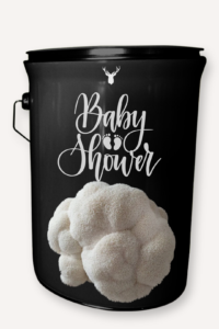 "Baby Shower" Lion's Mane Mushroom Grow Kit - Celebrate New Beginnings with Organic Luxury